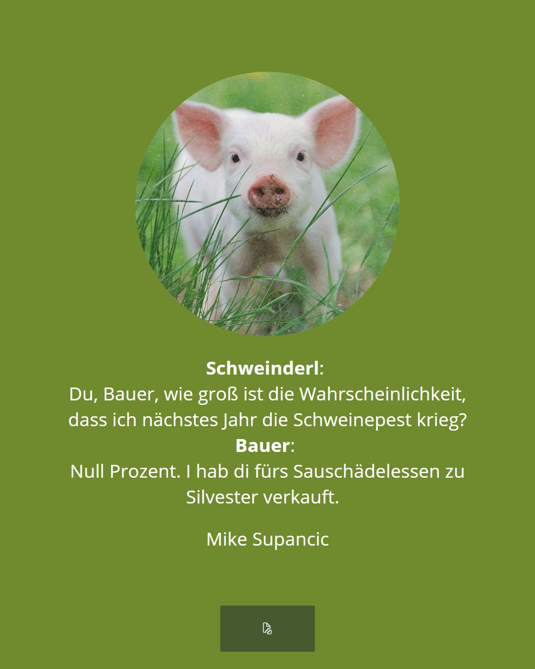 Mike Supancic: Gespräch Schweinderl & Bauer